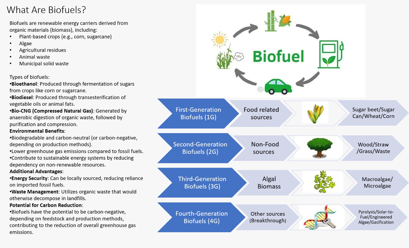 Biofuels | Sustainable path to energy security and mobility through ...