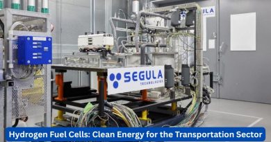 Hydrogen fuel cells: Clean energy for the transportation sector
